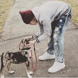 Meet your Posher, Dillon